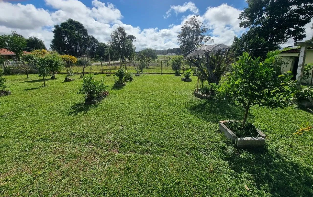 Terreno Alto Padrão